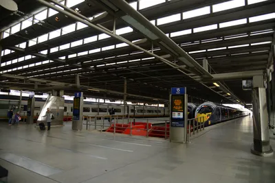 DSC_1233 (Large).JPG